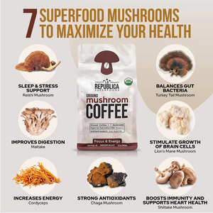 Mushroom Coffee, Organic Fair Trade - The Beauty Doctrine