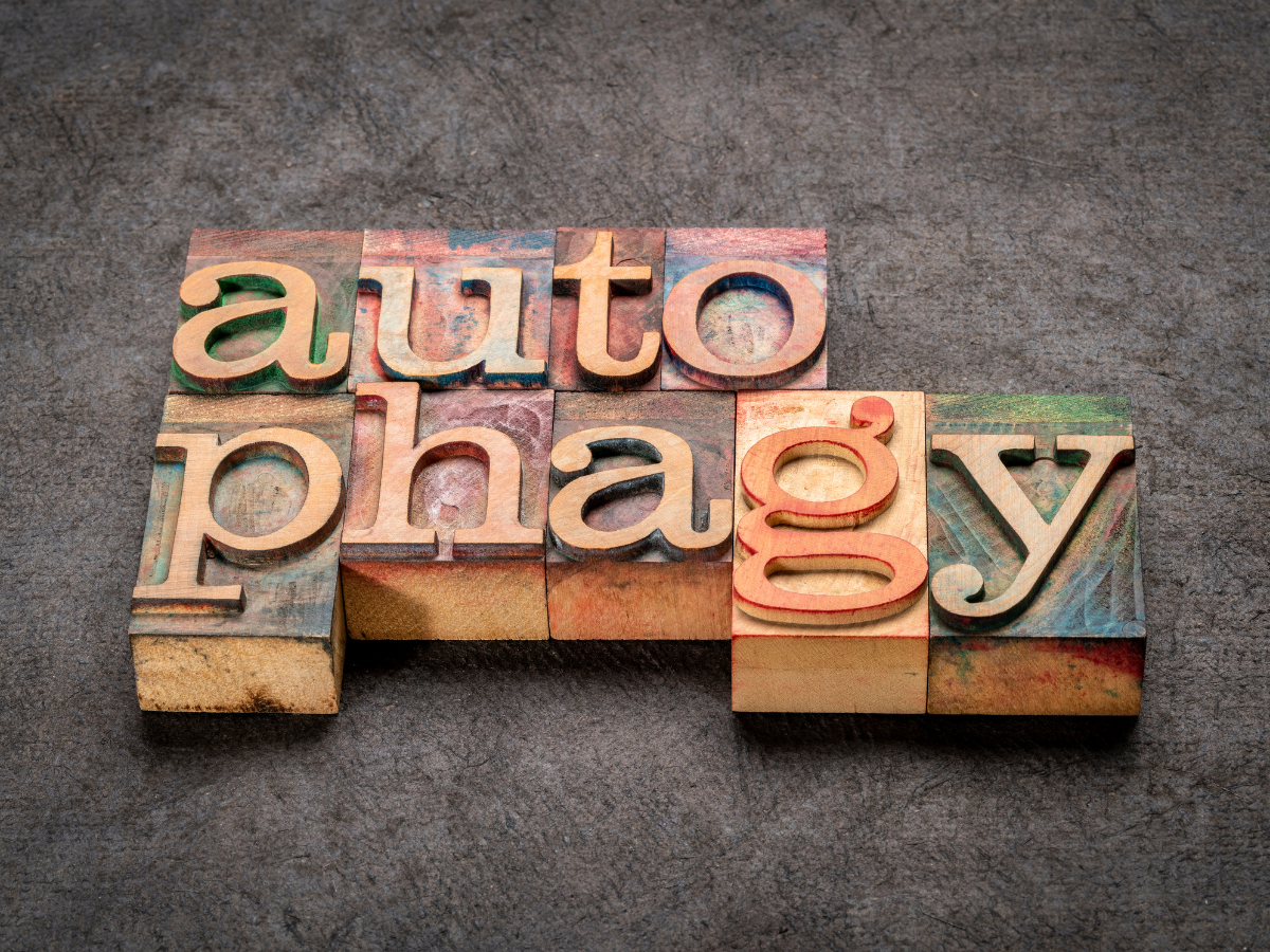 Autophagy: The Ultimate Age-Reversal Method