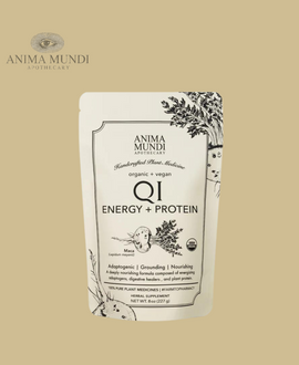 ANIMA MUNDI QI Energy Organic Adaptogenic Vegan Protein