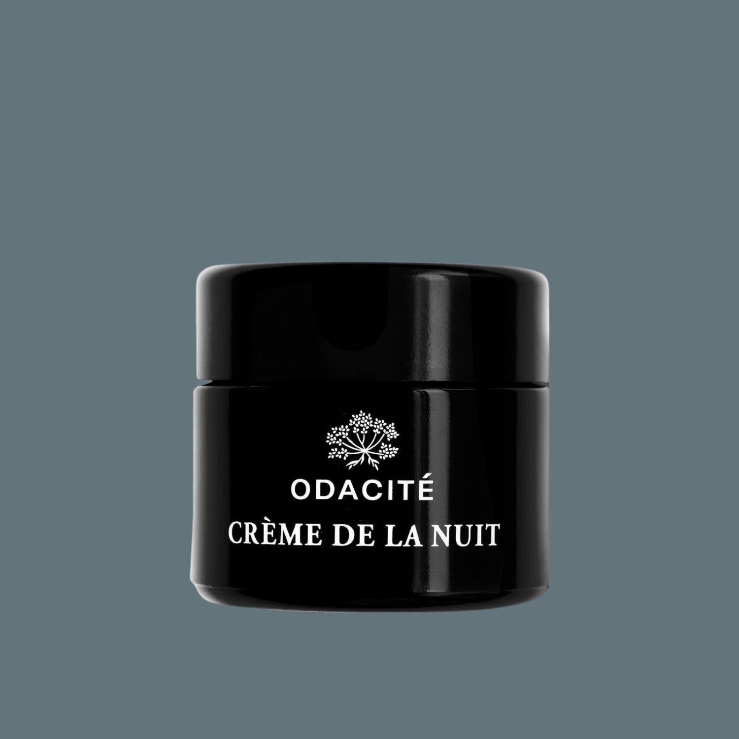 Odacité Crème de la Nuit Vitamin C + Ashwagandha  - The Beauty Doctrine